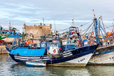 Essaouira Medina and Harbour Tour with Argan Coop Visit